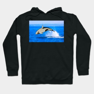 Trevert Minus the Orca Hoodie